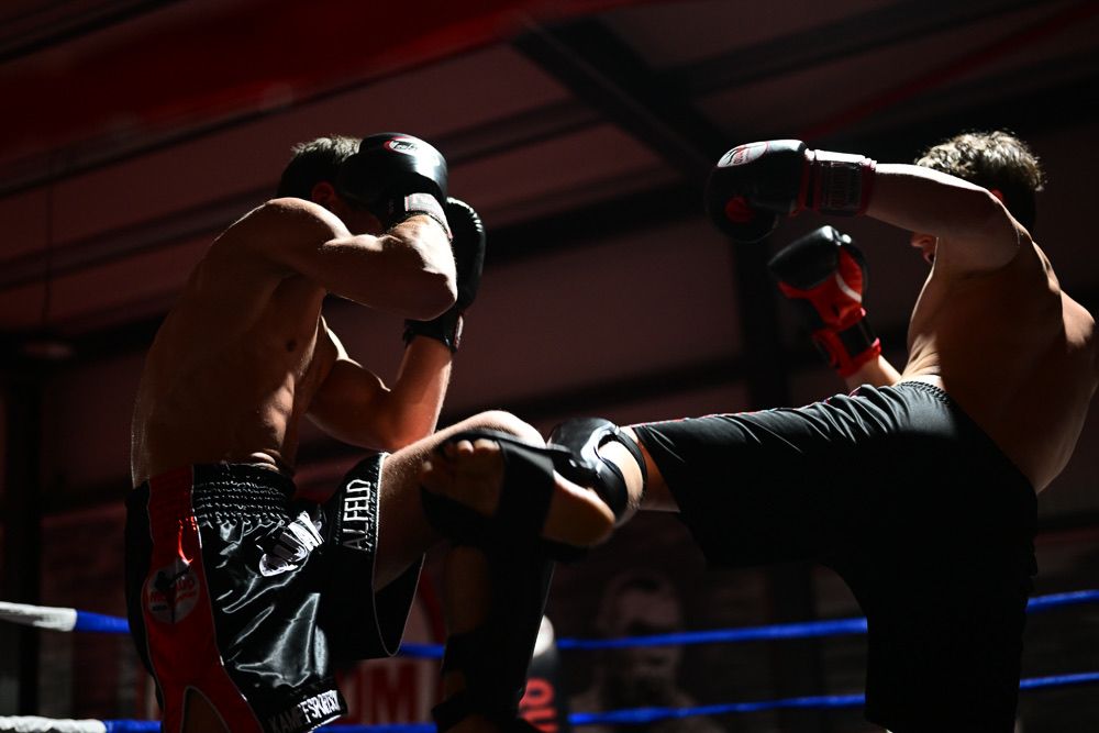 Tritttechnik im Ring