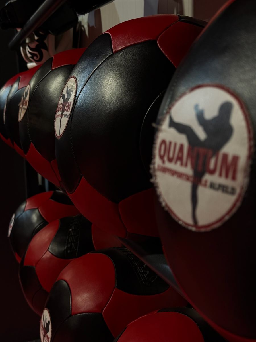Medizinbälle mit QUANTUM-Logo